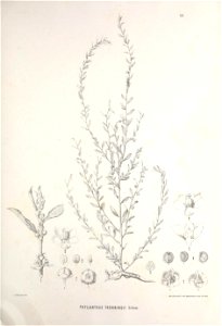 n352_w1150
