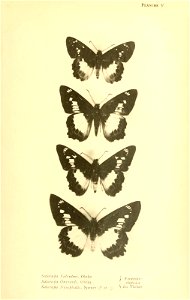 n276_w1150