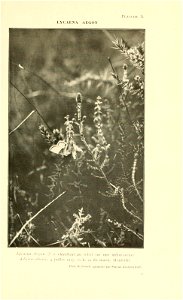 n722_w1150