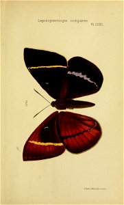 n766_w1150
