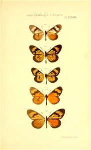 n690_w1150