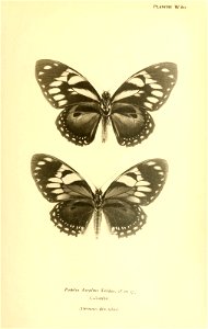 n272_w1150