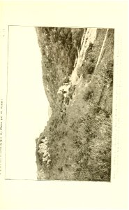 n242_w1150