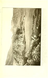 n212_w1150