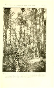 n122_w1150