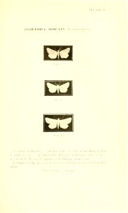 n412_w1150