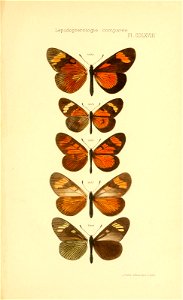 n688_w1150