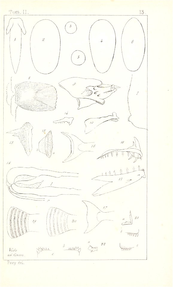 n472_w1150
