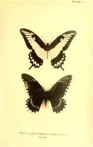 n268_w1150