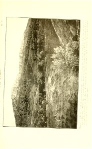 n238_w1150