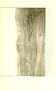 n148_w1150