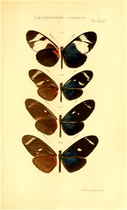 n712_w1150