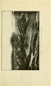 n206_w1150