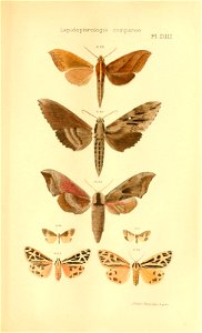n678_w1150