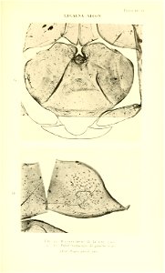 n404_w1150