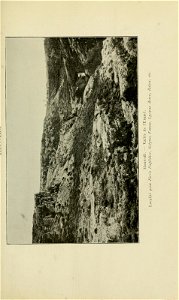 n204_w1150