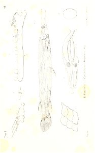 n524_w1150