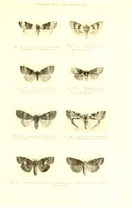 n548_w1150