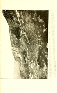 n232_w1150
