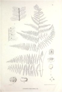 n454_w1150