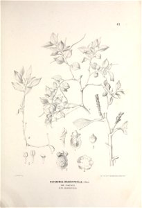 n424_w1150