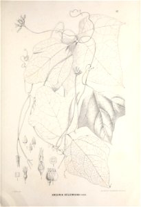 n364_w1150
