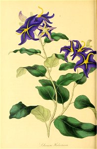 n395_w1150
