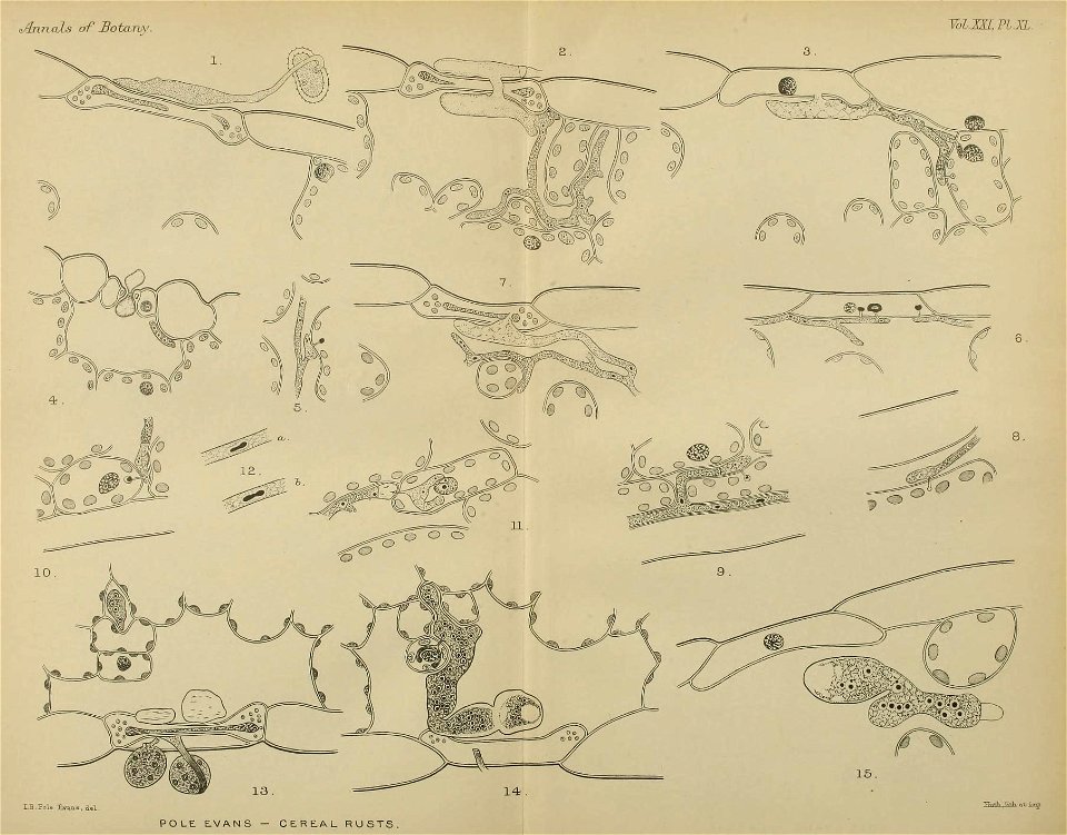 n672_w1150