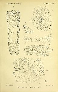 n144_w1150