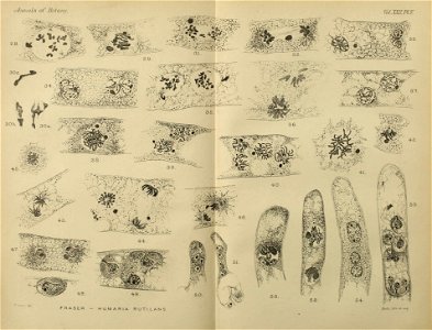 n96_w1150