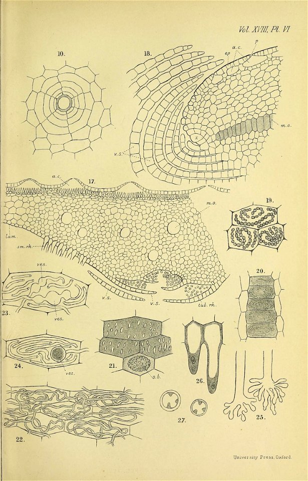 n164_w1150