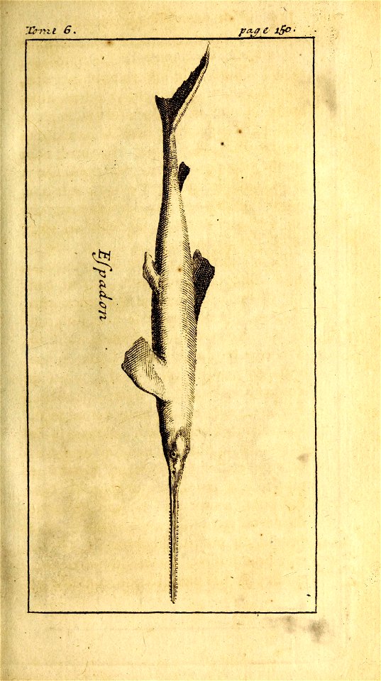 n174_w1150
