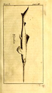 n174_w1150