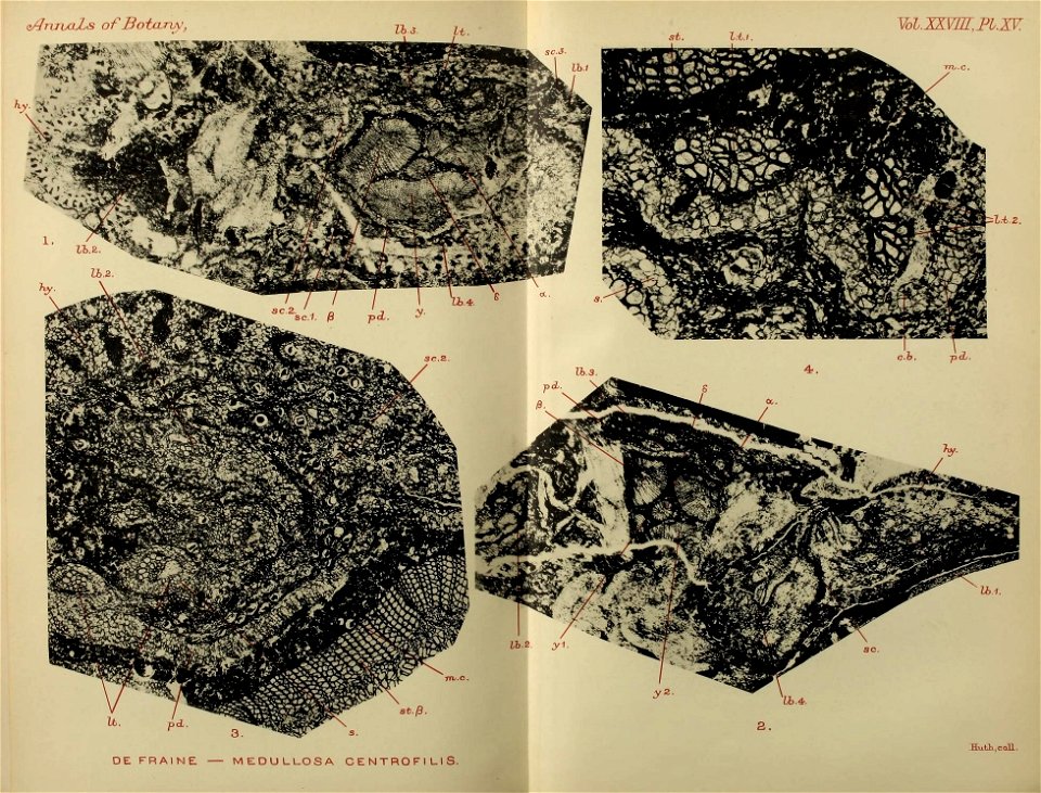 n354_w1150
