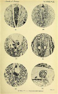 n132_w1150