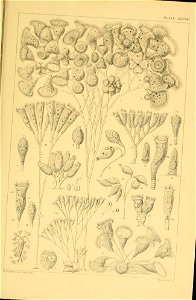 n162_w1150