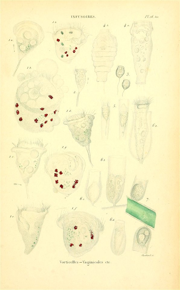 n58_w1150