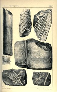 n158_w1150