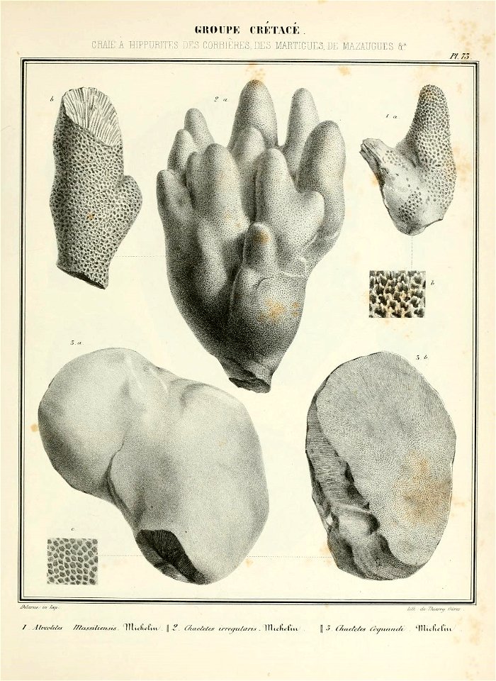 n154_w1150