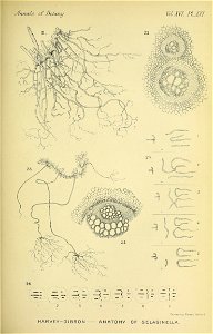 n814_w1150