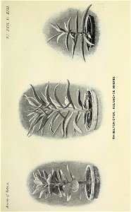 n574_w1150