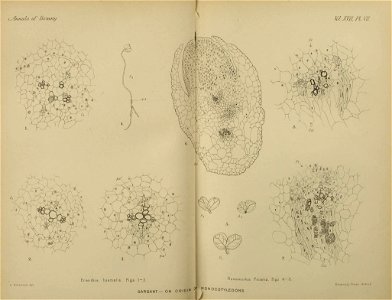 n148_w1150