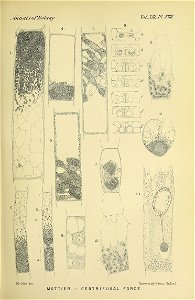n458_w1150