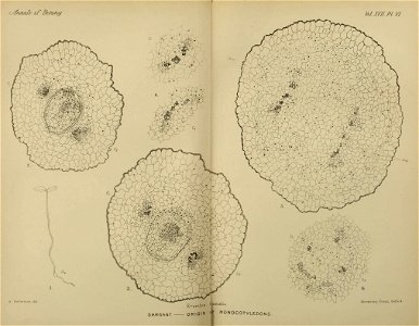 n142_w1150