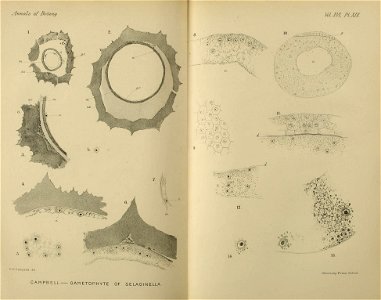n768_w1150