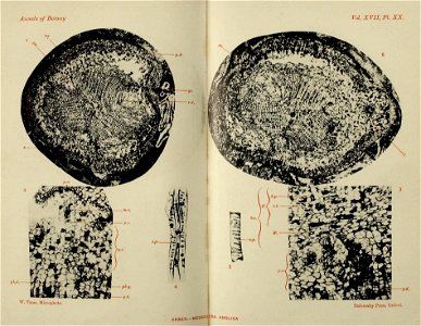 n562_w1150
