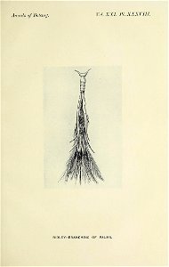 n618_w1150