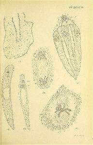 n442_w1150