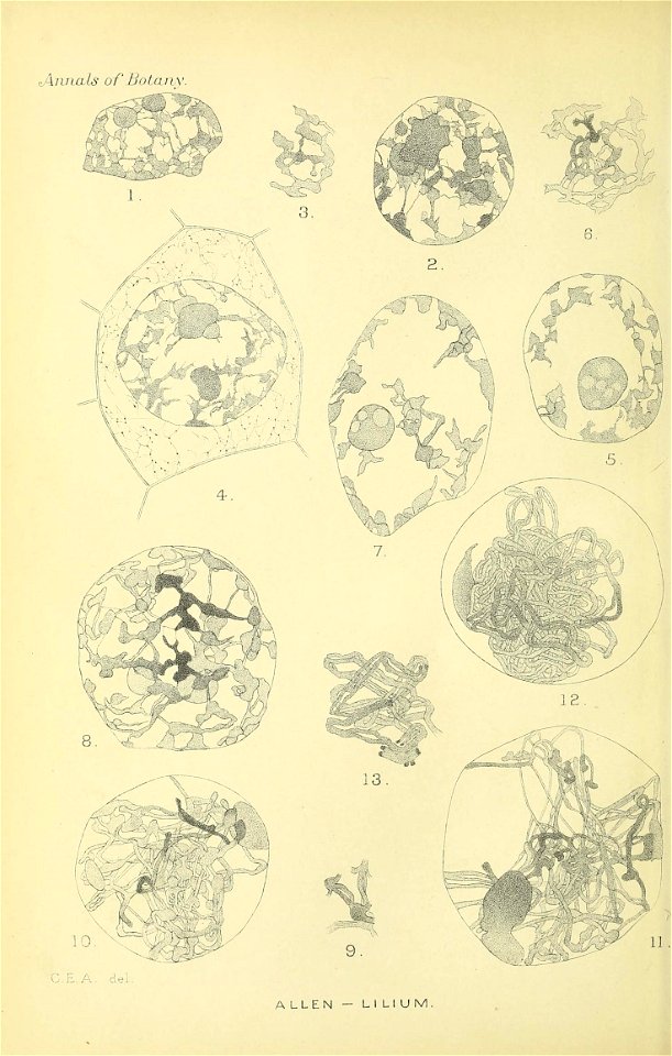 n307_w1150