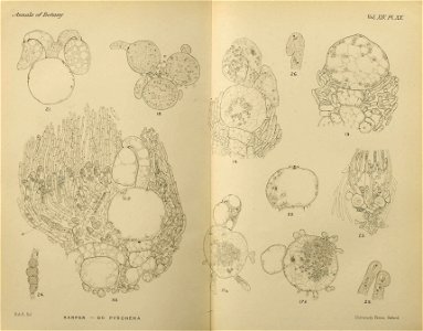 n514_w1150
